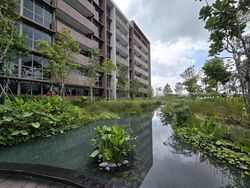 Pasir Ris Drive 8 (D18), Condominium #462761601